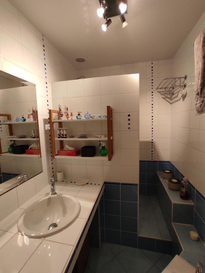 Appartement Calme Proche Toulouse Saint-Jean  Εξωτερικό φωτογραφία